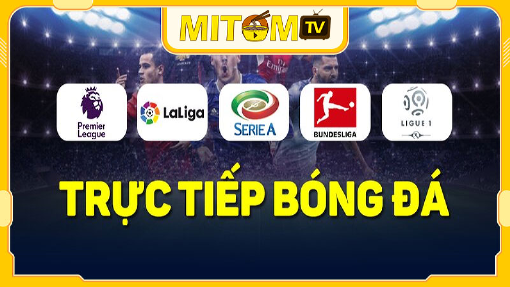 Mitom TV tổng hợp các giải đấu bóng đá lớn nhỏ trên toàn thế giới